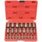 25PCS Screw Extractor & Bolt Remover Set