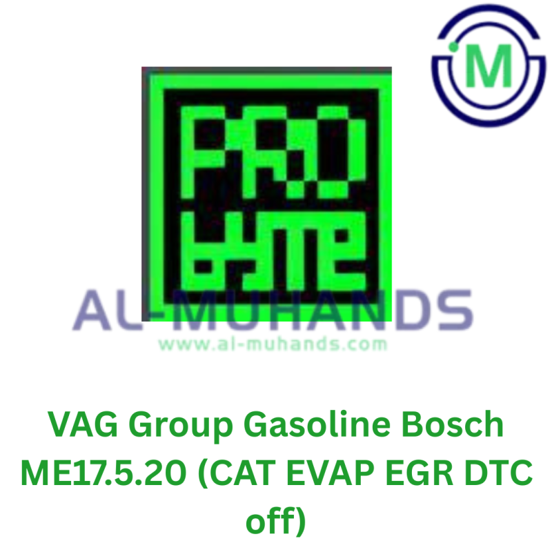 ProBYTE VAG Group Gasoline Bosch ME17.5.20 (CAT EVAP EGR DTC off)