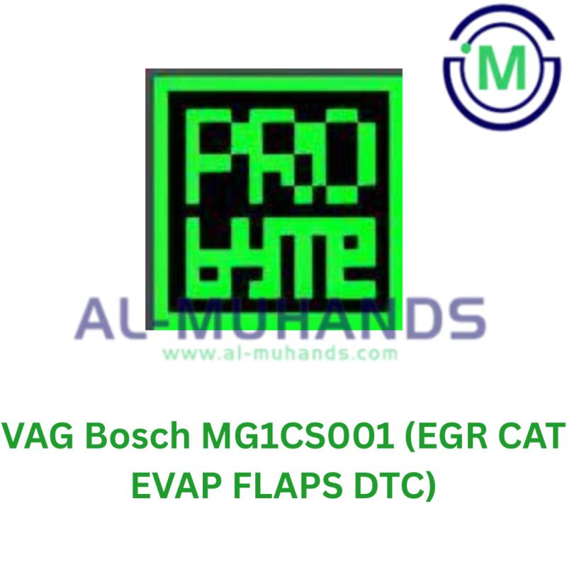 ProBYTE VAG Bosch MG1CS001 (EGR CAT EVAP FLAPS DTC)