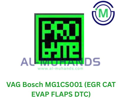 ProBYTE VAG Bosch MG1CS001 (EGR CAT EVAP FLAPS DTC)
