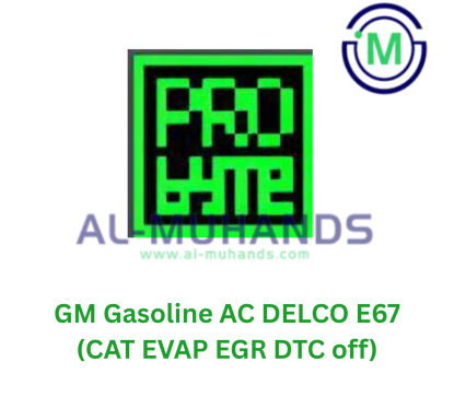 ProBYTE GM Gasoline AC DELCO E67 (CAT EVAP EGR DTC off)