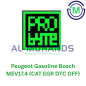ProBYTE Peugeot Gasoline Bosch MEV17.4 (CAT EGR DTC OFF) ProBYTE Peugeot Gasoline Bosch MEV17.4 (CAT EGR DTC OFF)