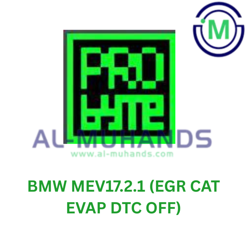 ProBYTE BMW MEV17.2.1 (EGR CAT EVAP DTC OFF)