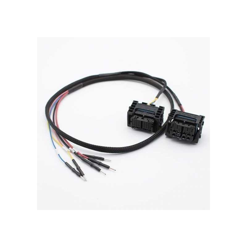 FLX2.16 ECU BMW MDG1 cable