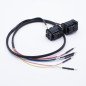 FLX2.16 ECU BMW MDG1 cable