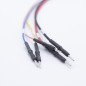 FLX2.16 ECU BMW MDG1 cable