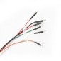 FLX2.47 Connection cable: EDC16CP31