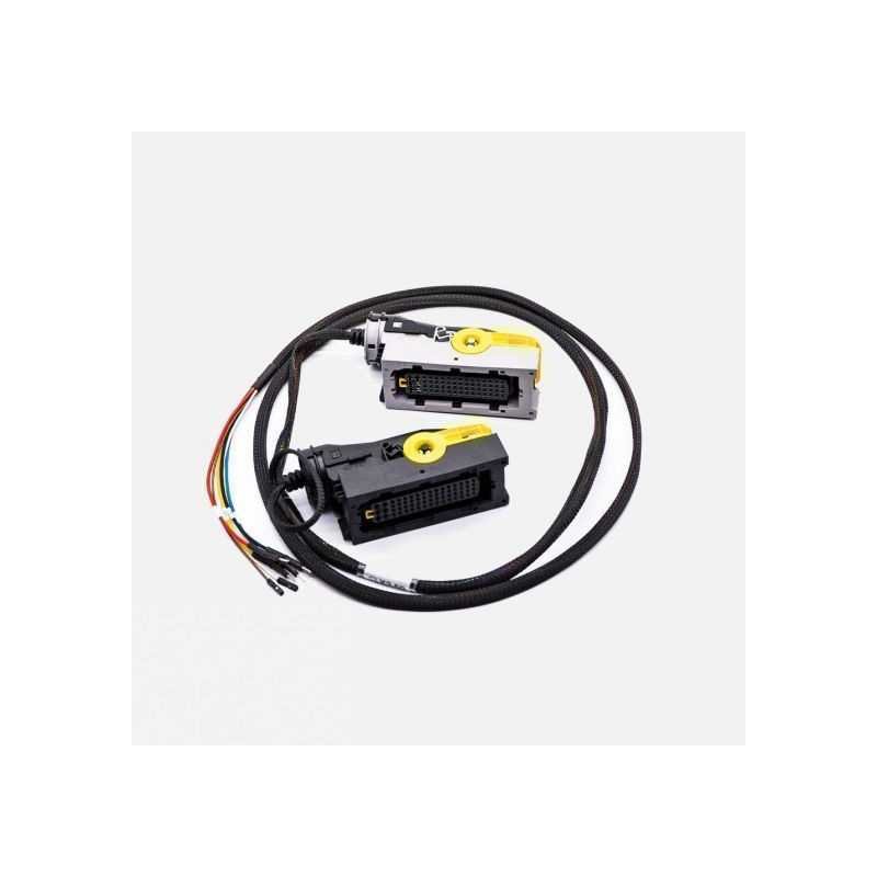 FLX2.59 TRW_EMS2.x ECU Connection Cable