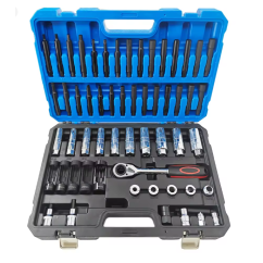 Shock Absorber Seat Sleeve Removal Kit（62pc) ME01787G